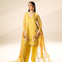 Fresh Lime Cotton Net Embroidered Set - Master