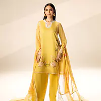 Fresh Lime Cotton Net Embroidered Set - Master