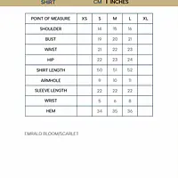 The scarlet kaftan - Master